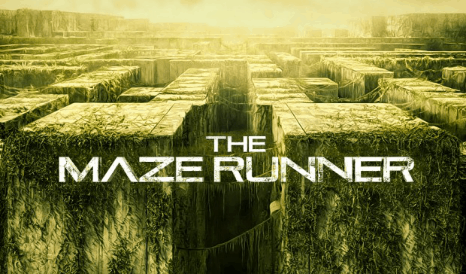 Featured image for “Film Review – The Maze Runner”