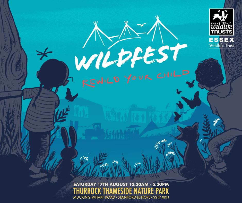 Featured image for “Wildfest: Rewild your Child!”