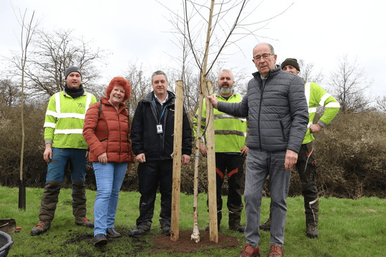 Featured image for “Council plants 16 new trees to improve bio-diversity in Wickford”