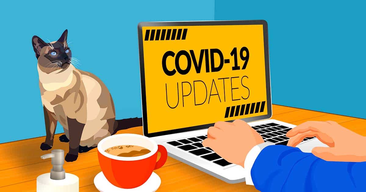 Coronavirus updates for South Essex on Gateway 97.8