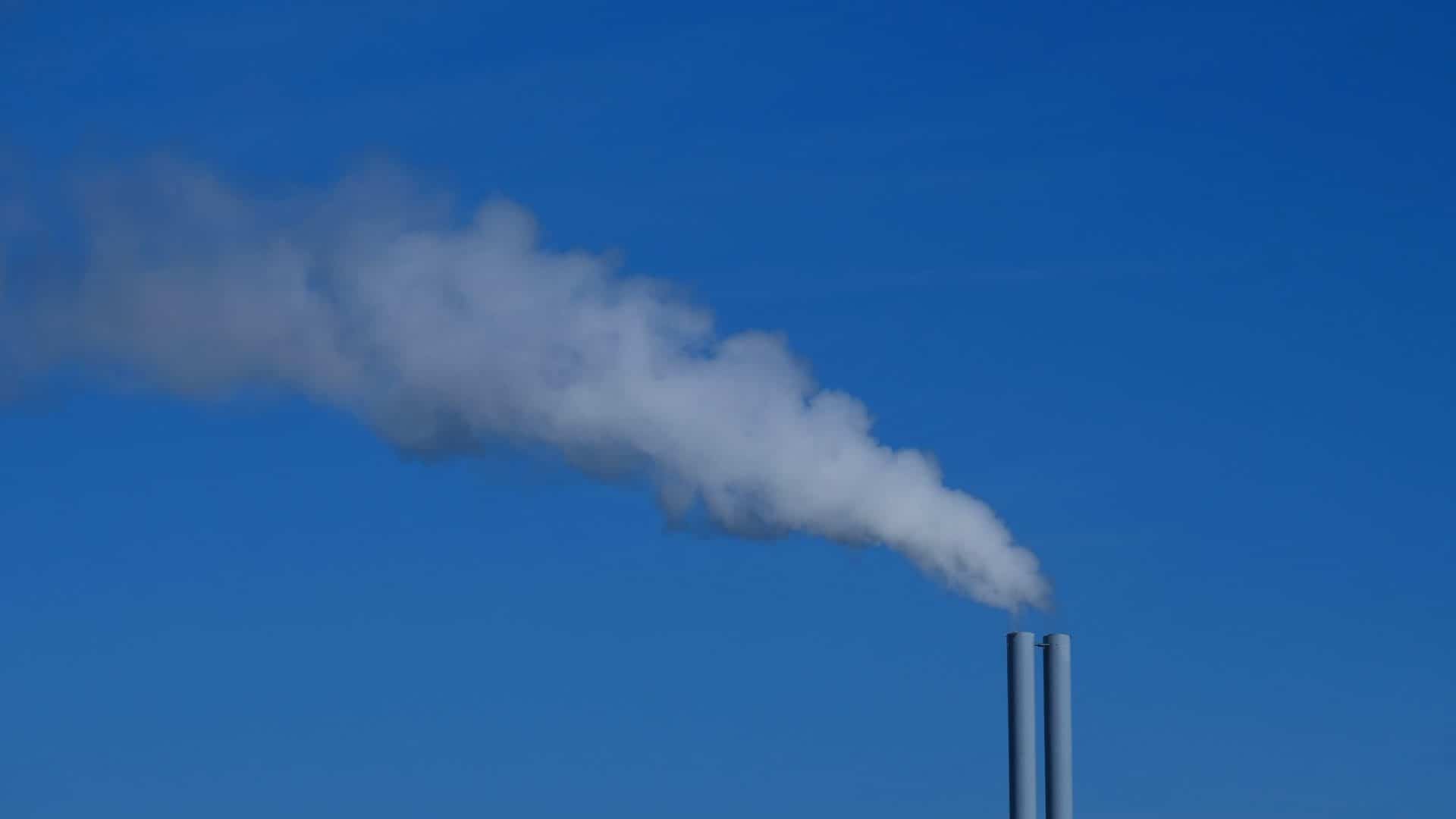 Featured image for “Air pollution reduction could improve children’s ability to learn”