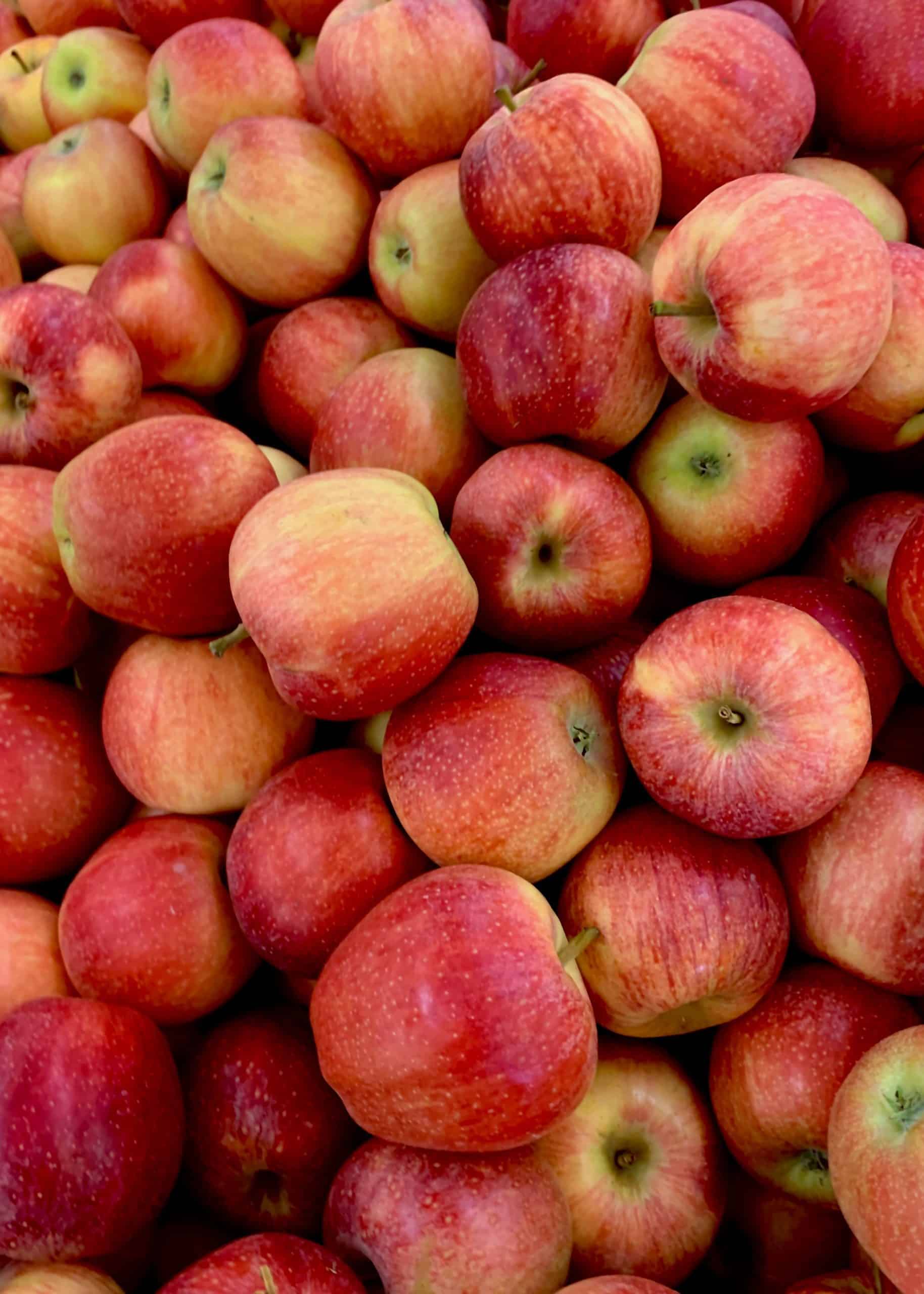 Featured image for “The greatest apple nation in the world”