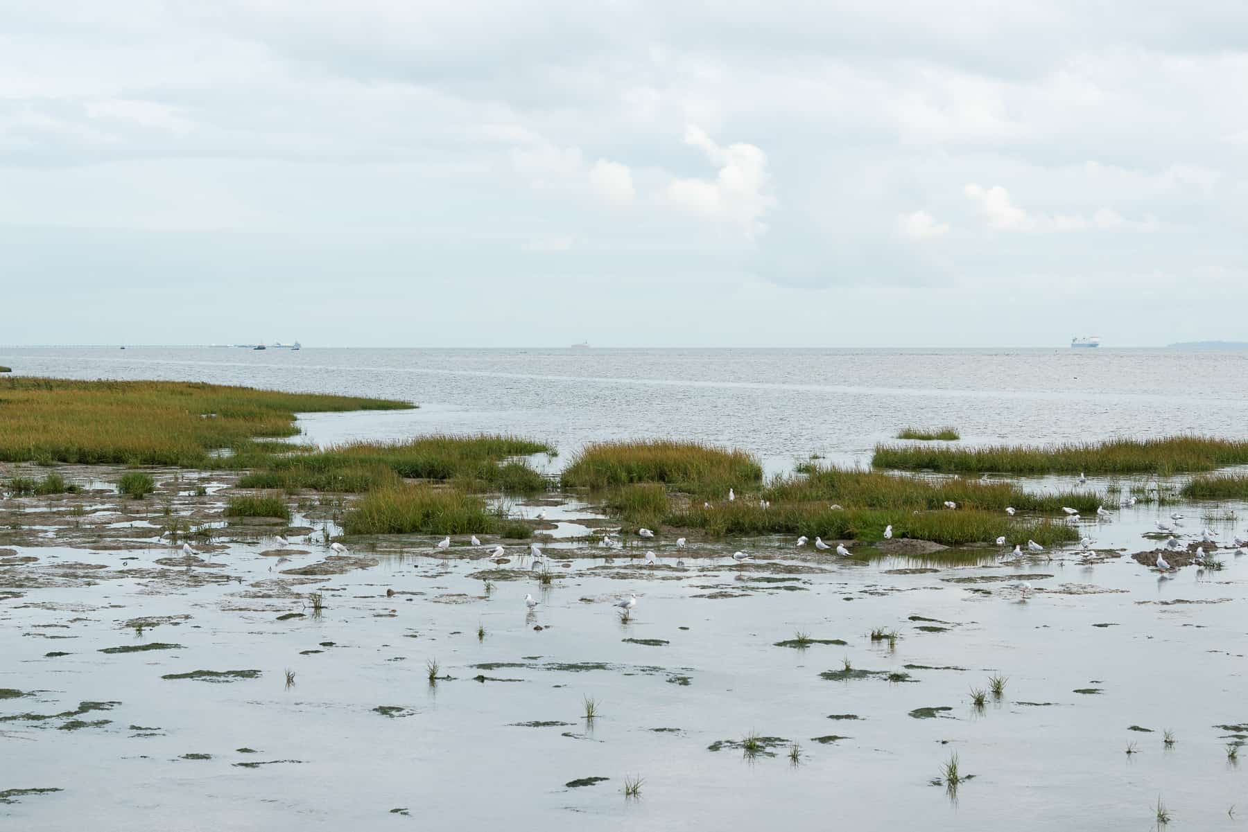 Featured image for “Estuary 2021 set to bring over 90 artworks and events to the Thames Estuary this Spring”
