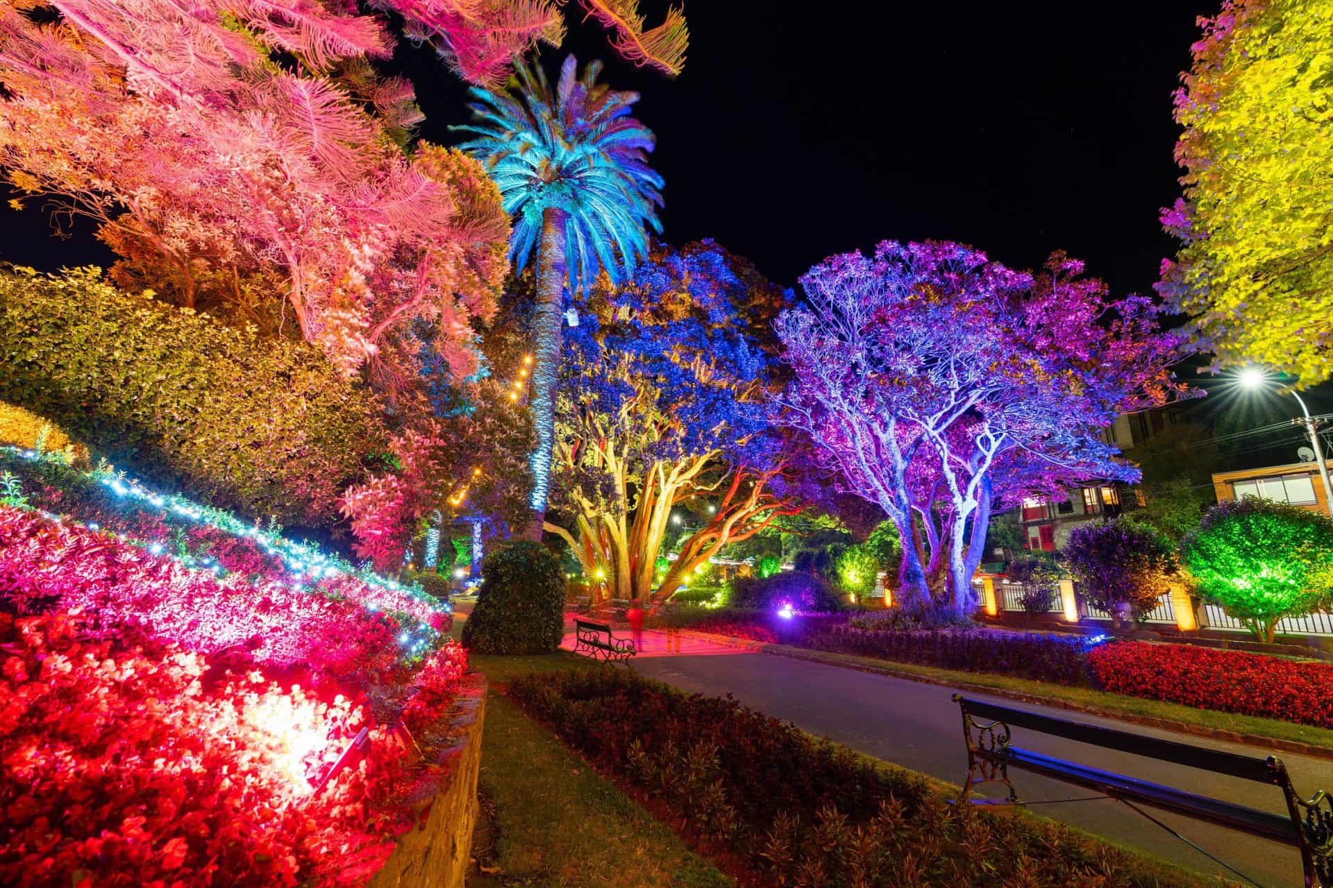 Featured image for “Southend prepares for LuminoCity light event”