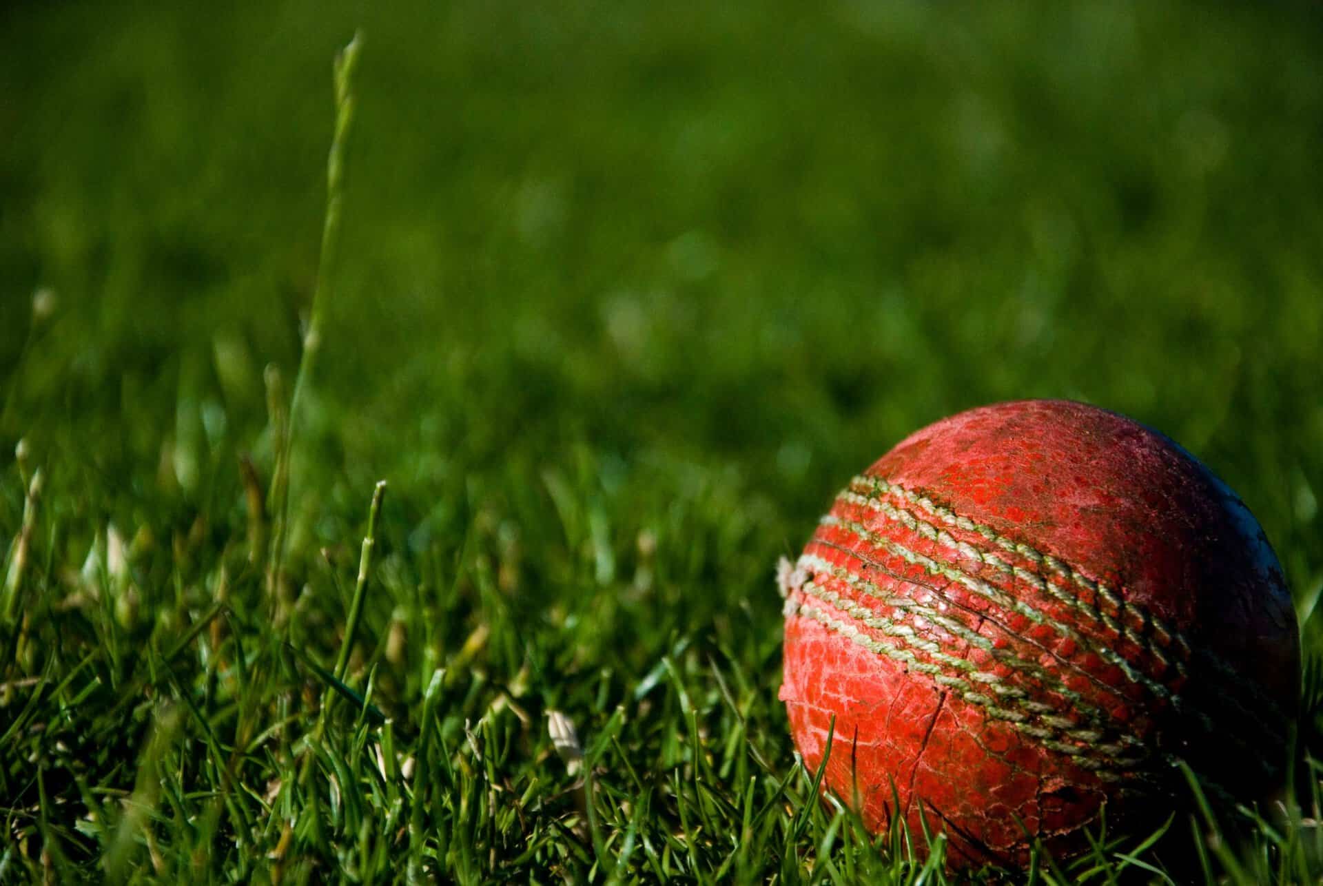 Featured image for “Cricket World Cup”