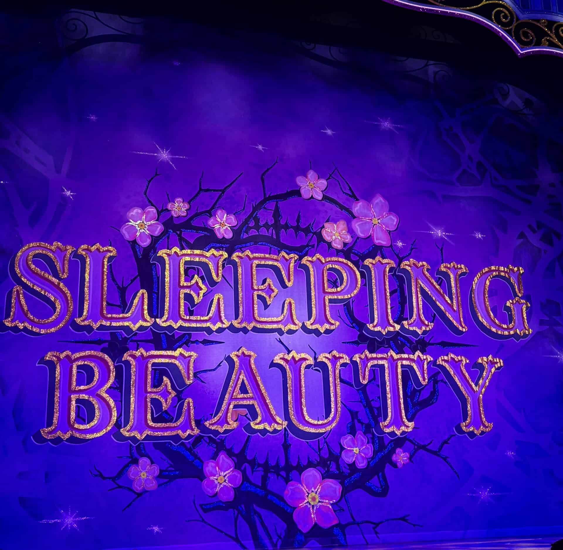 Featured image for “Sleeping Beauty panto review”